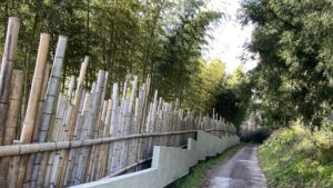 竹垣と道